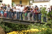 Entenrennen_Bach
