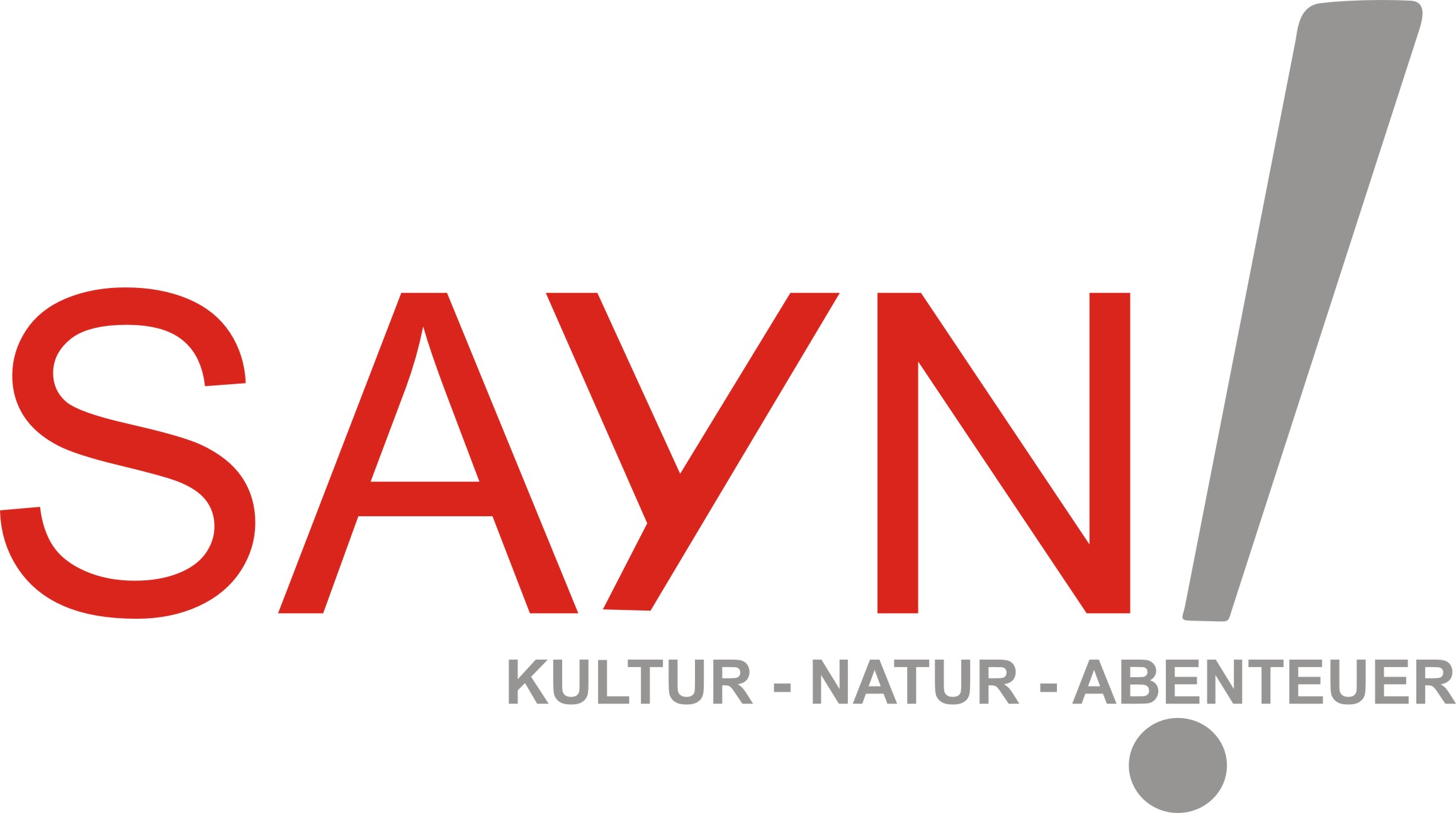 saynlogo